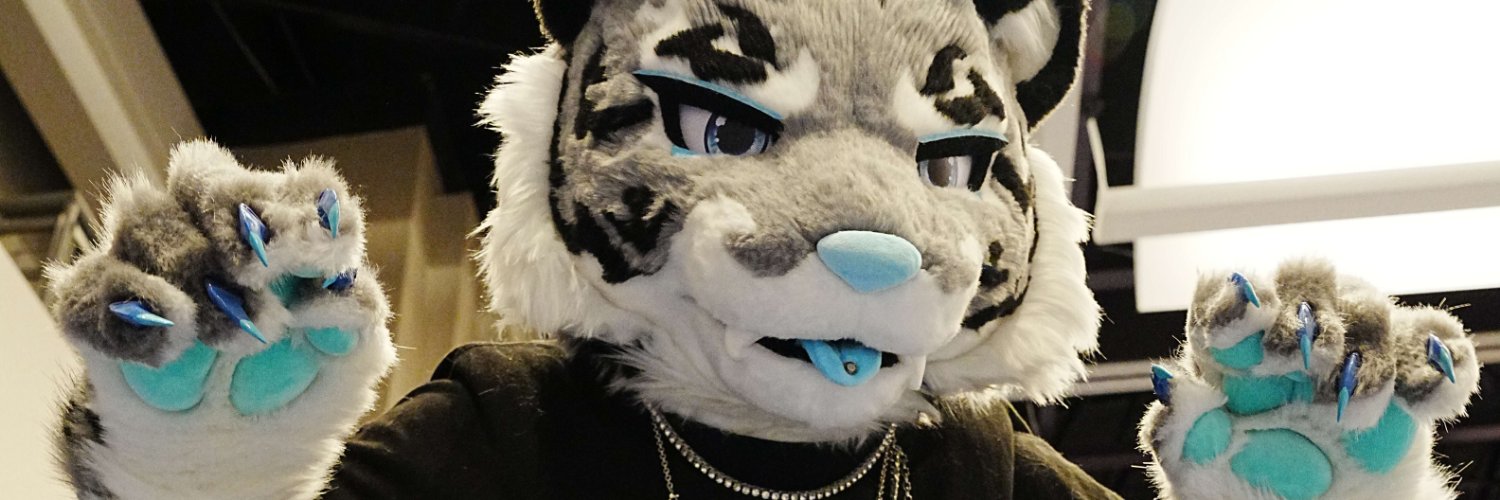 MrMittensMeow banner