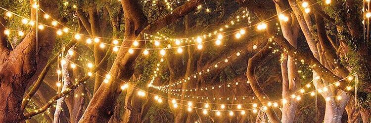 bibillicious's profile banner image