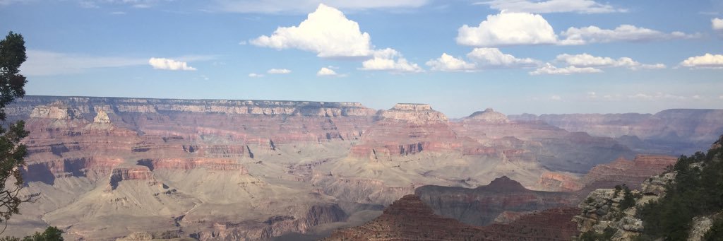 michelleard84's profile banner image