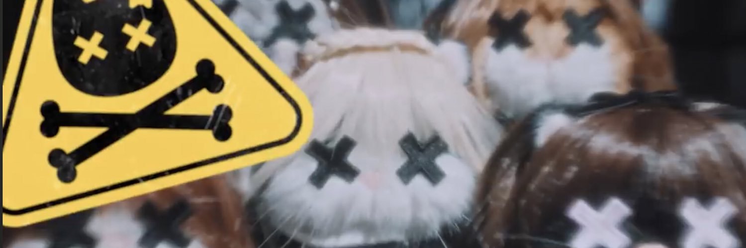 casszio's profile banner image