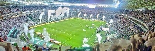 Thadeu _ Palestrino banner