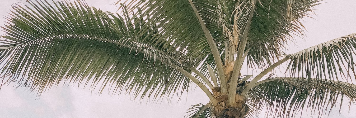 AlliGrewe's profile banner image