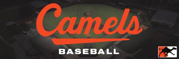 Campbell Baseball Profile Banner