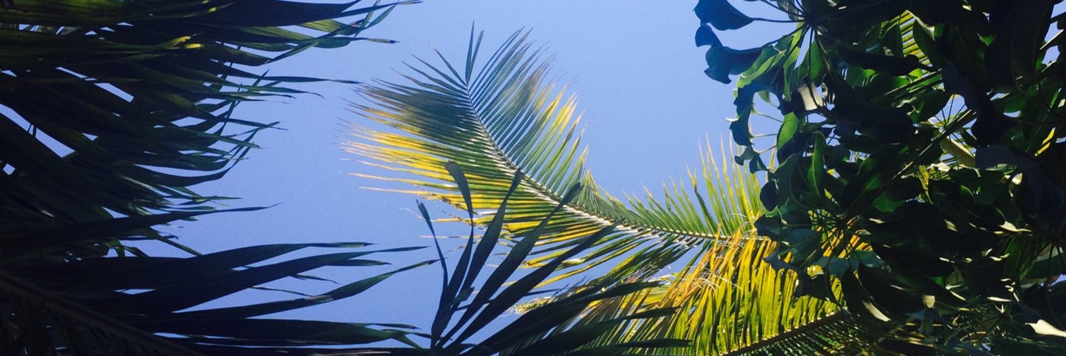 Declan Wright banner