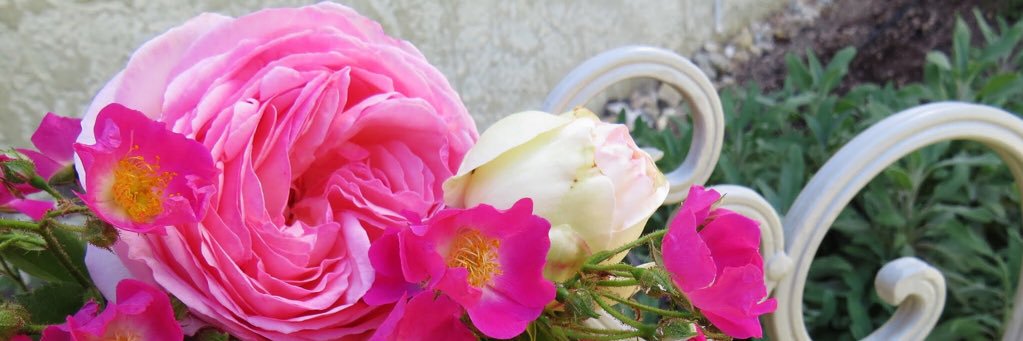 27orchard's profile banner image