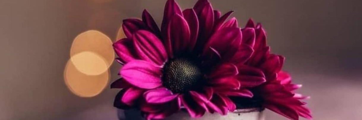 Shajan_55's profile banner image