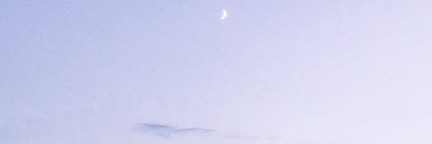 reinedevenus's profile banner image
