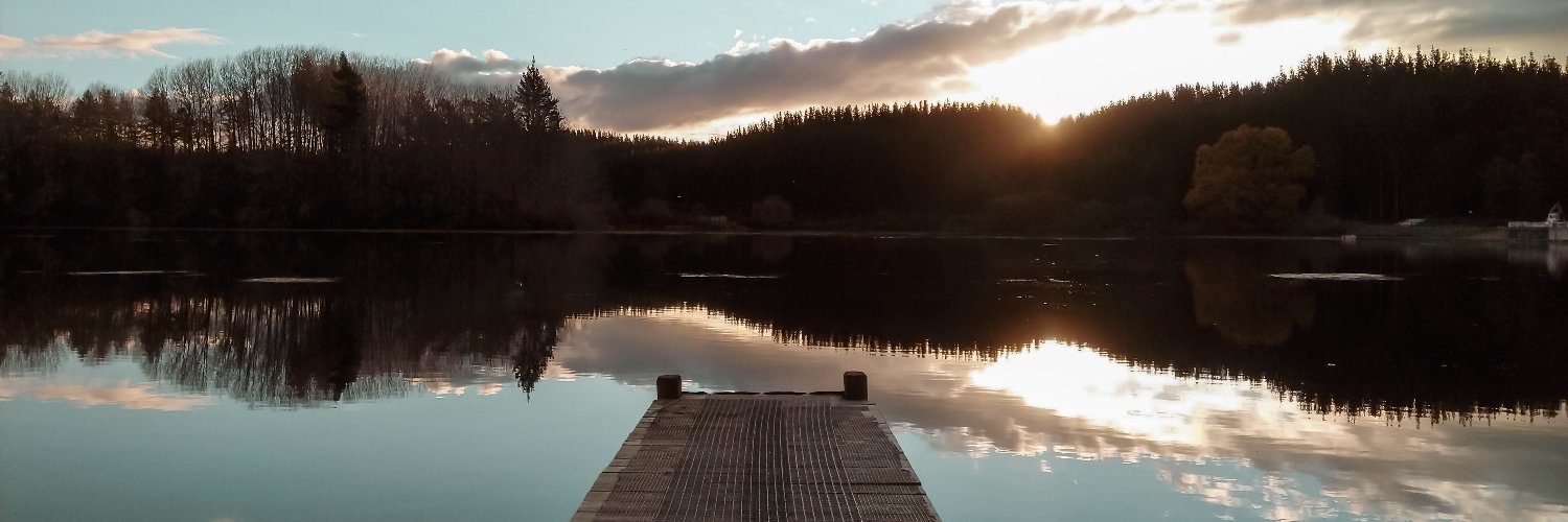 Ilan Cedillos banner