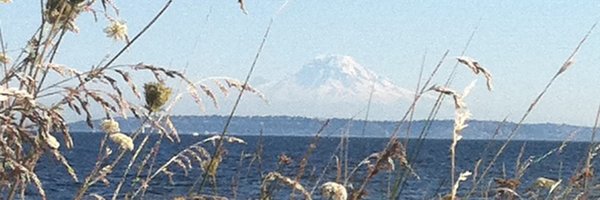 scottlanderson Profile Banner