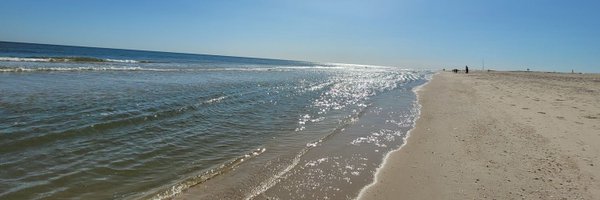 triggerfinger Profile Banner