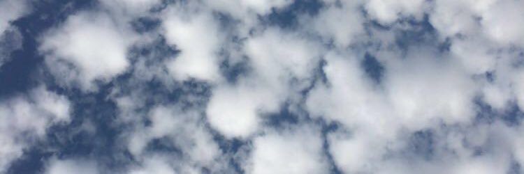 فهد الروقي banner