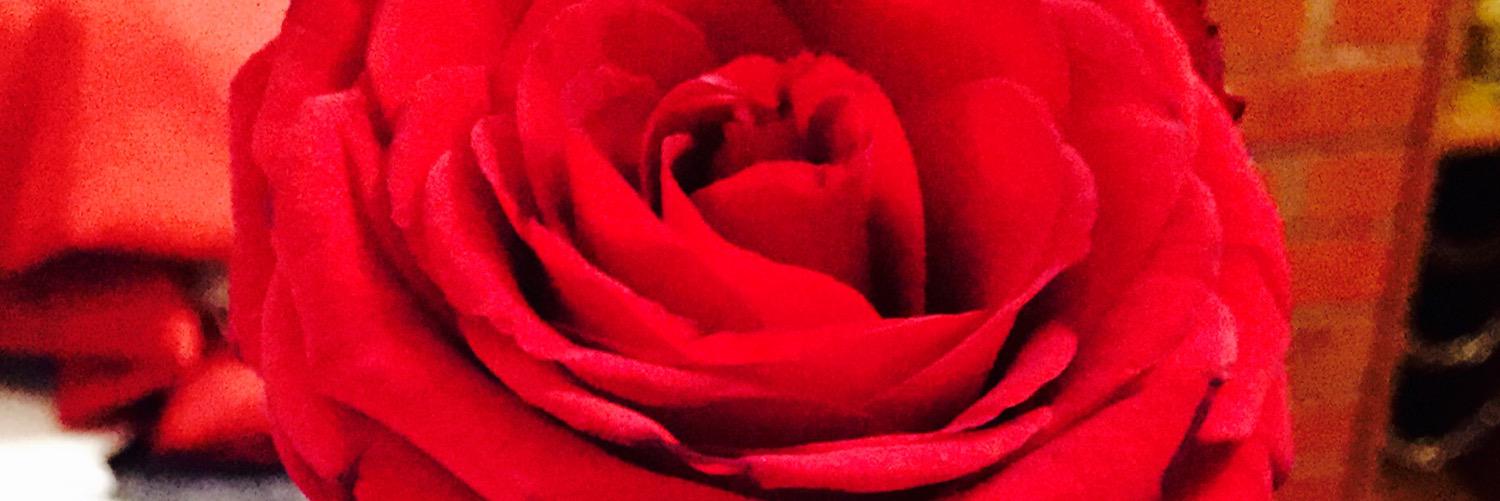 annajayne89's profile banner image