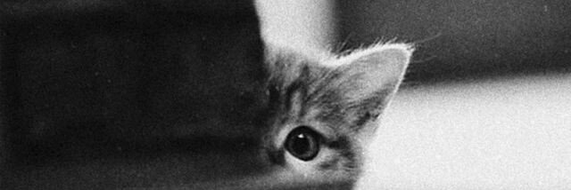 Gabo_RamirezB's profile banner image