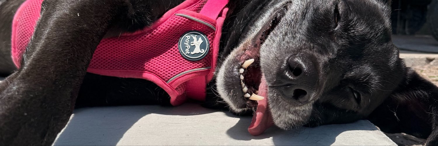 ashdurbin's profile banner image