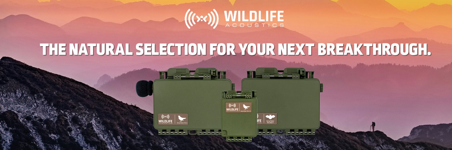 WildlifeAcoust's profile banner image