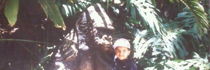 edureyes24's profile banner image