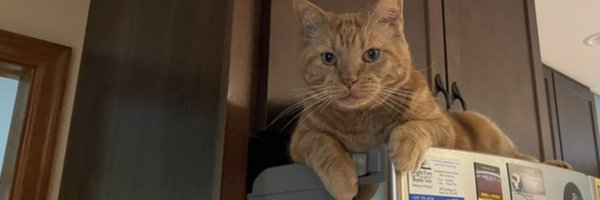 nickostrem Profile Banner