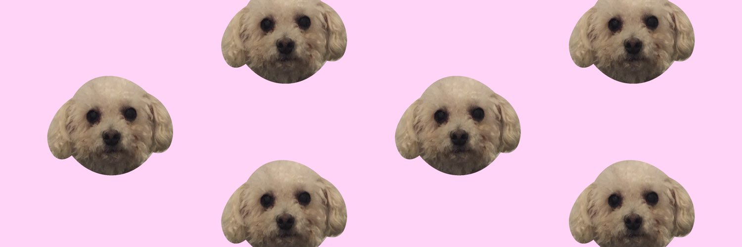 mariamotapedro's profile banner image