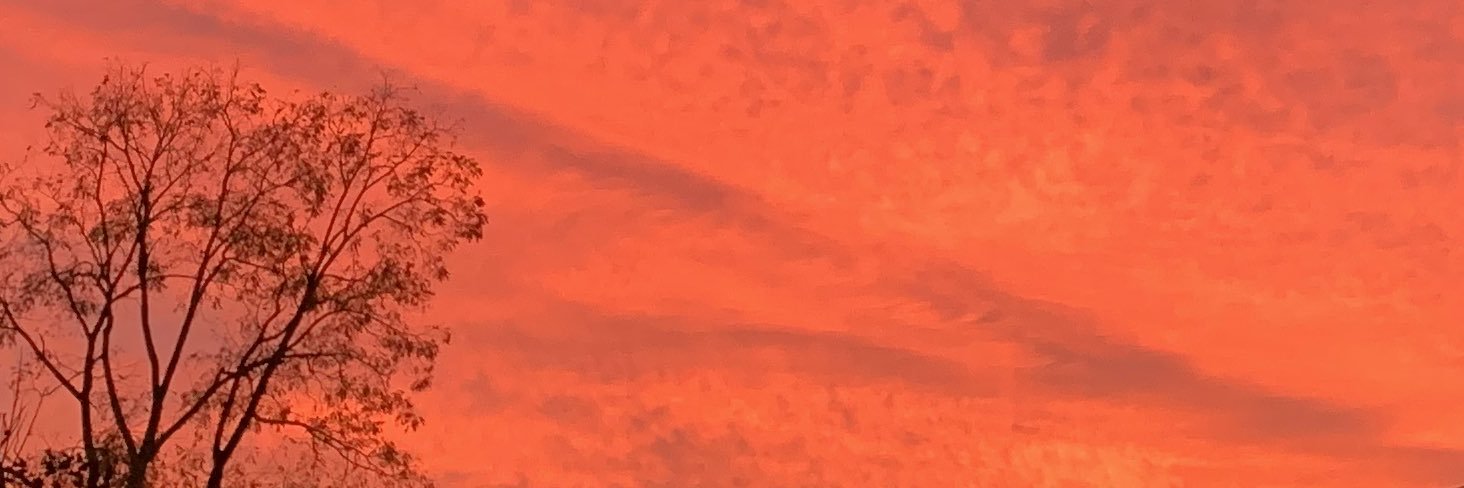 Cana_cay's profile banner image
