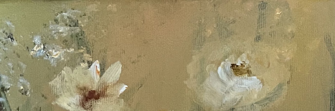 TvLily's profile banner image