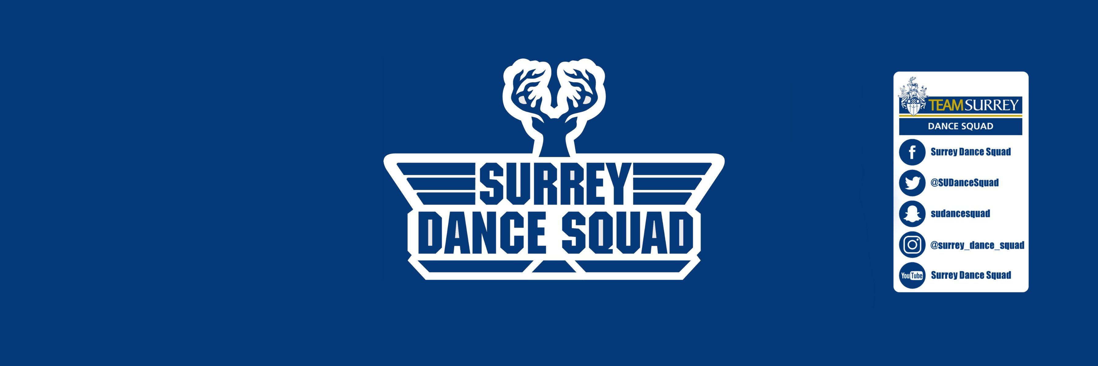 Surrey Dance Squad banner