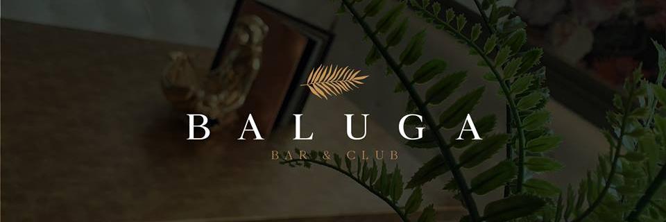 Baluga Bar & Club banner