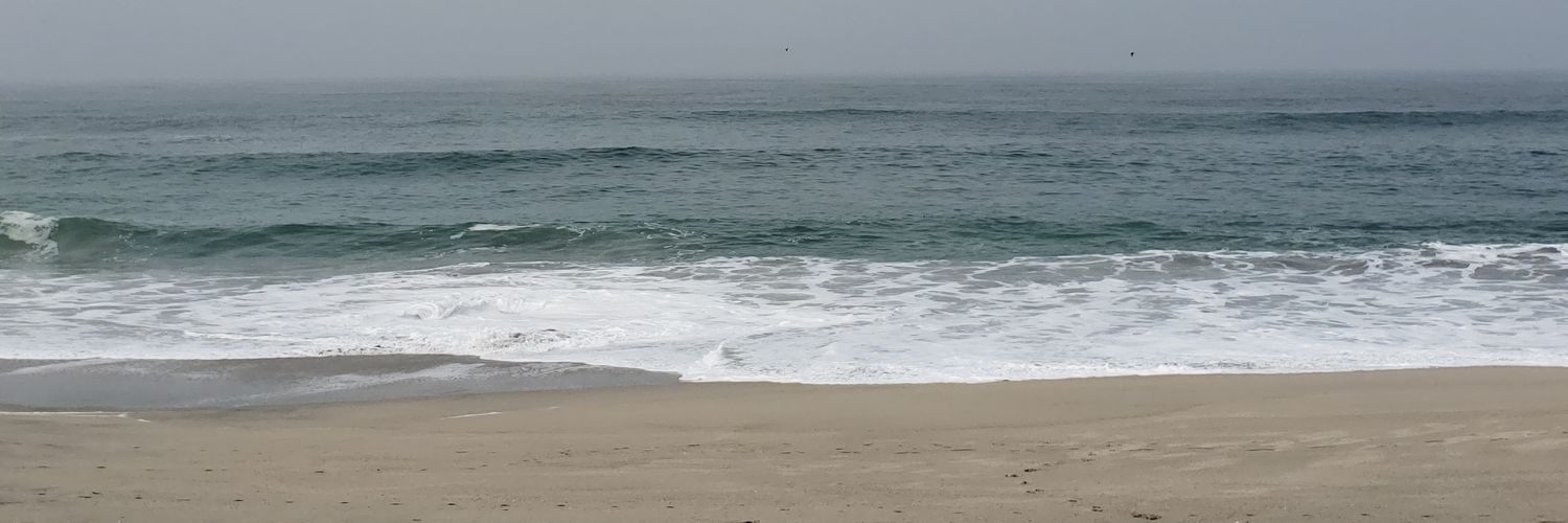 nicolnirepollo's profile banner image