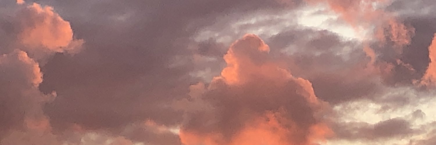 AstridBehne's profile banner image