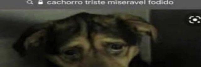 xofszz's profile banner image