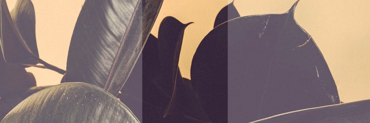 EvanAndreeMusic's profile banner image
