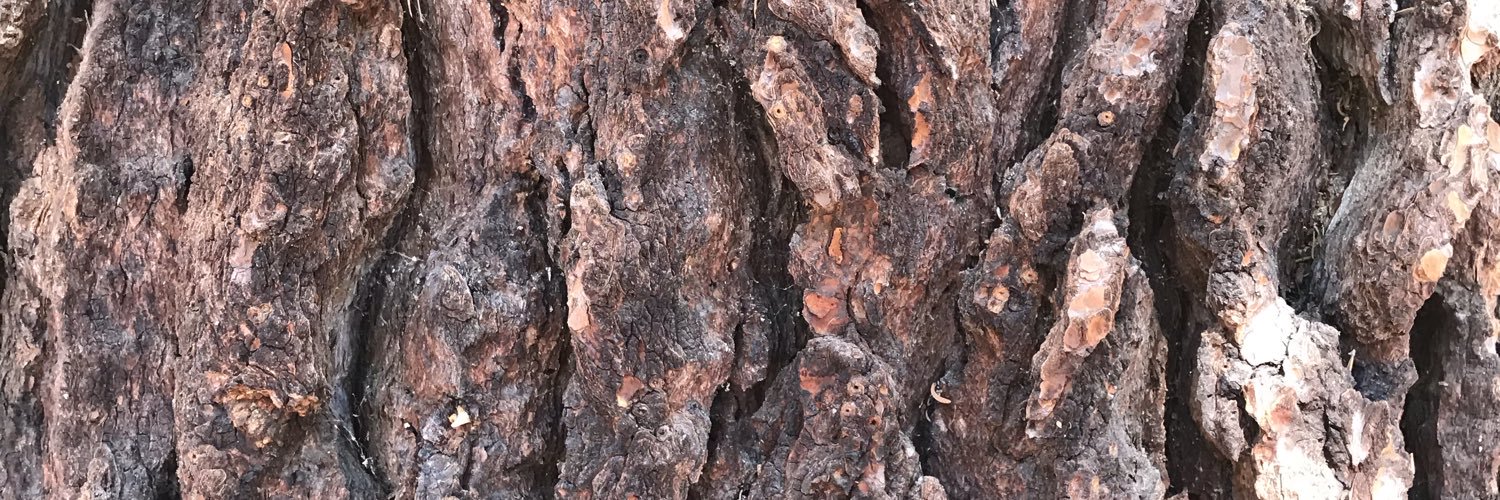 cmerski's profile banner image