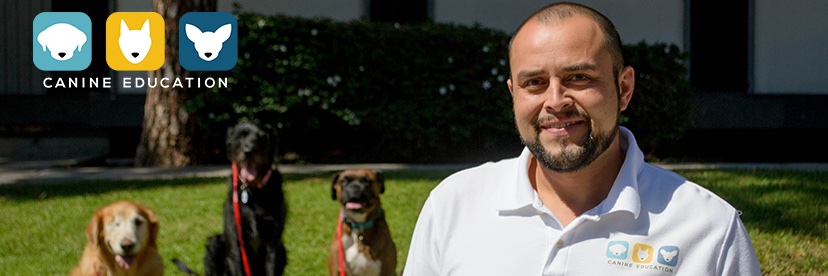 CanineED's profile banner image