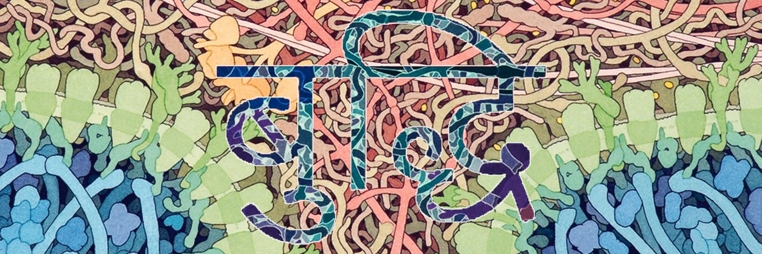 + big buddhi + banner