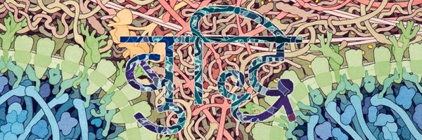 embryosophy Profile Banner