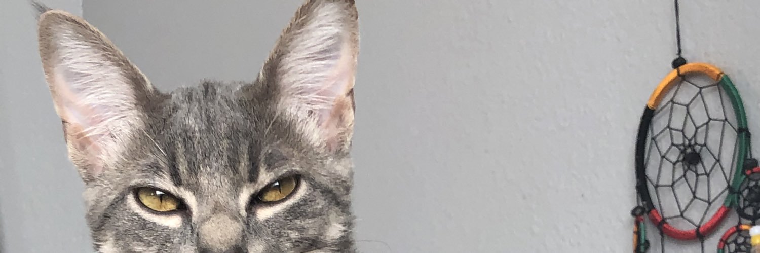 OddFutureMel's profile banner image