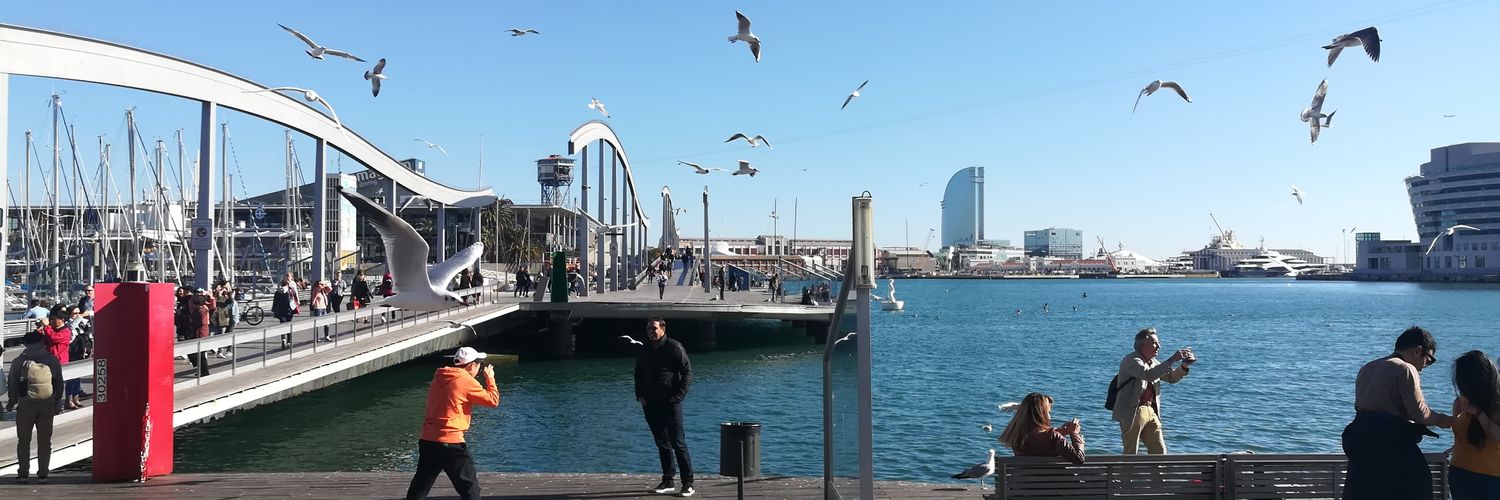steffbcn's profile banner image