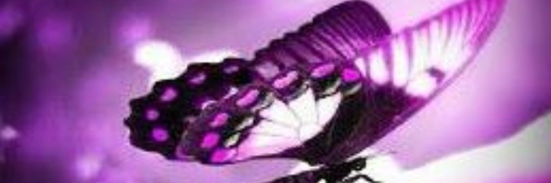 monsepia87's profile banner image