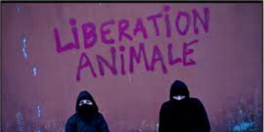Animal Liberation banner
