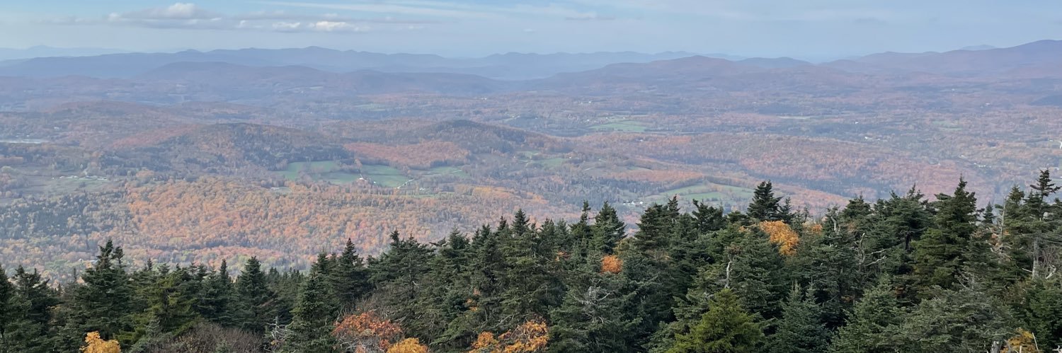 davidlcapo's profile banner image