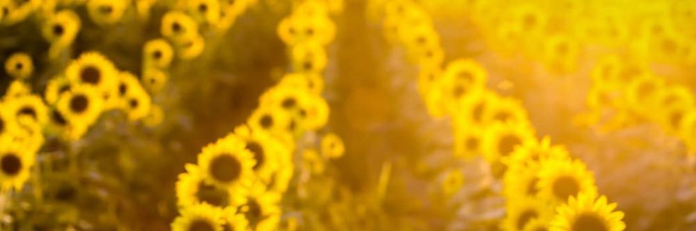 ThatGirlTyraa's profile banner image