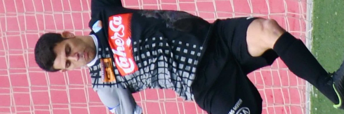 Luis Paniagua Gonzalez banner