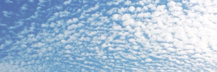 sheilacim's profile banner image