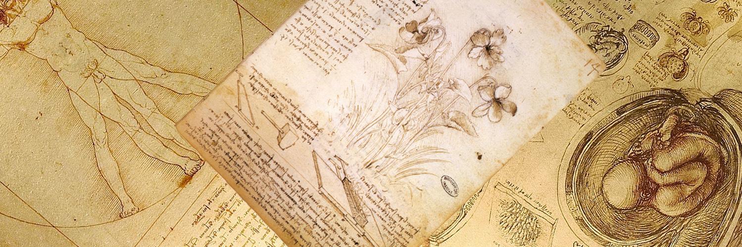 The Renaissance Society of America banner