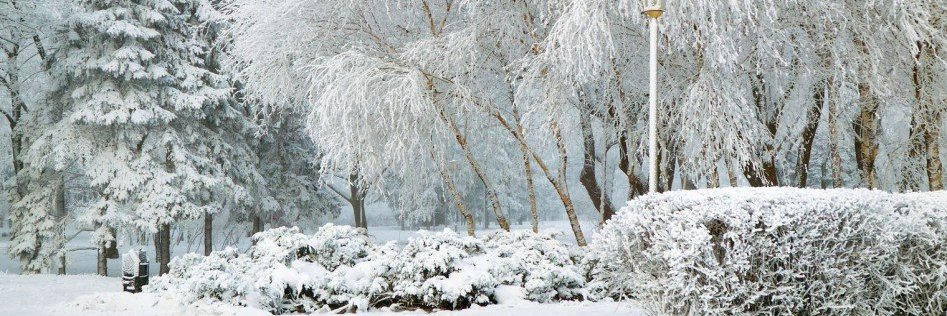 π²Bambino Valentino banner