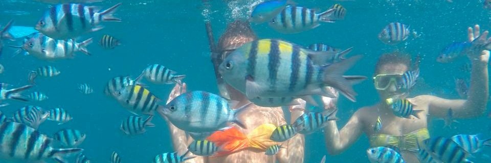 JadeRandall19's profile banner image