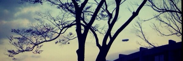 ensd Profile Banner