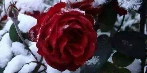 78maery's profile banner image