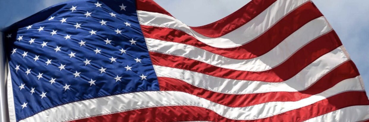 ring4liberty's profile banner image