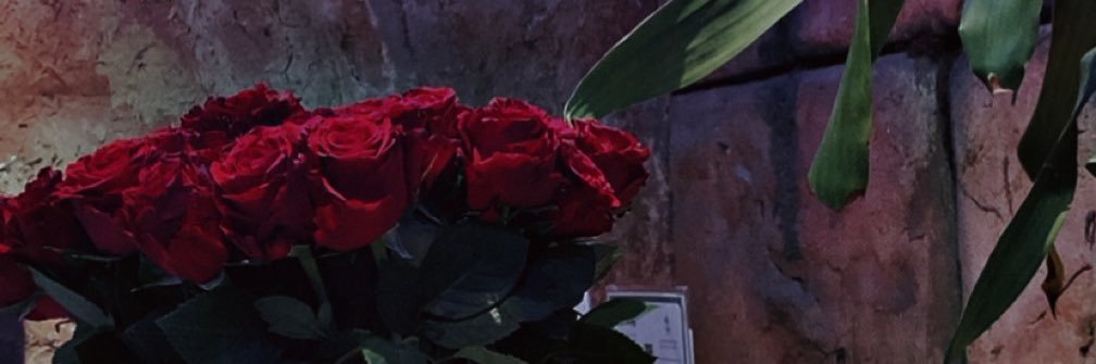 MissEmo0o0's profile banner image