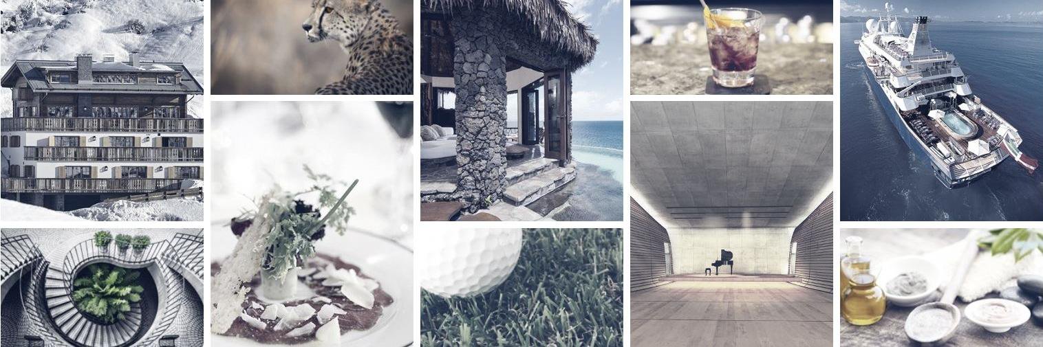 The Dovetail Agency banner